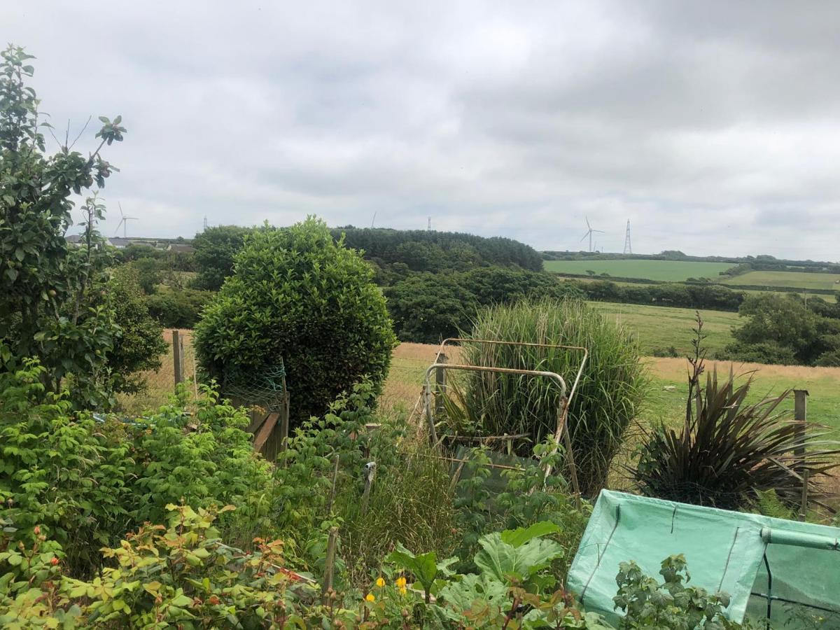 Little Valley View Otterham Esterno foto